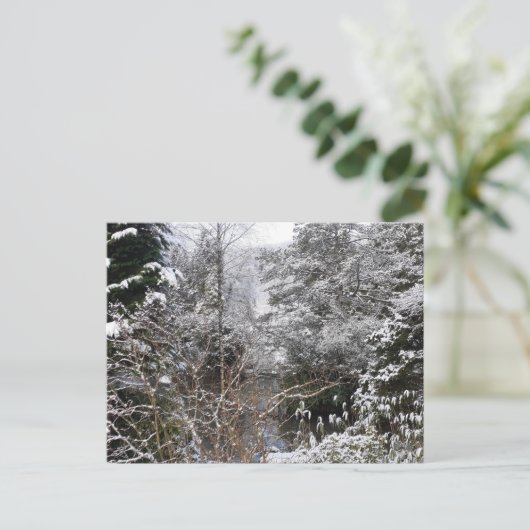 Snowy Trees Flat Postkarte (Stehend Vorderseite)