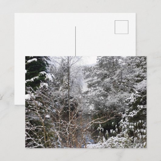 Snowy Trees Flat Postkarte (Vorne/Hinten)