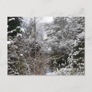 Snowy Trees Flat Postkarte