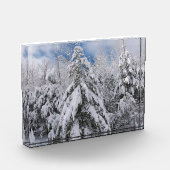 Snowy Trees Fotoblock (Links)