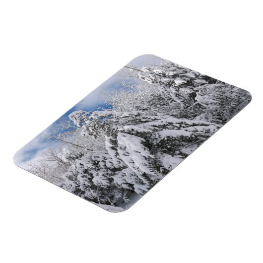 Snowy Trees Magnet (Linke Seite)