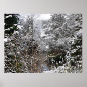 Snowy Trees Poster (Vorne)