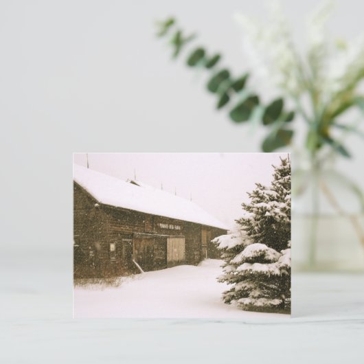 Snowy Vermont Postkarte (Stehend Vorderseite)