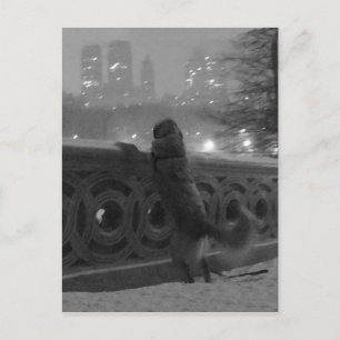 Snowy View von Bow Bridge Central Park Postcard Postkarte