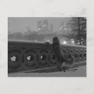 Snowy View von der Bow Bridge Postkarte