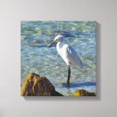 Snowy White Egret im Surf Leinwanddruck (Vorderseite)