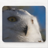 Snowy White-Eule Mousepad (Vorne)