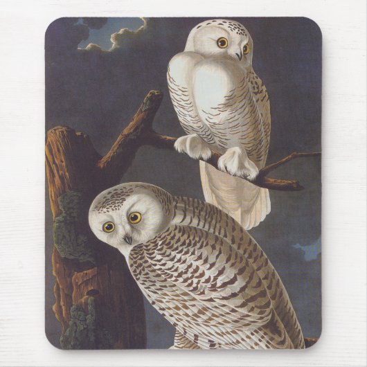 Snowy White Owls auf einer dunklen, Beängstigenden Mousepad (Vorne)