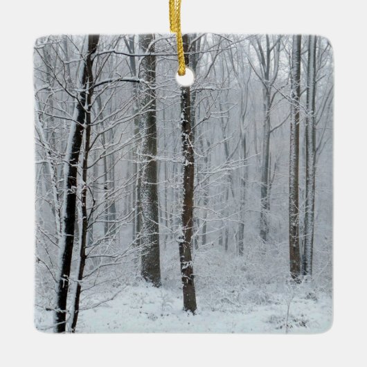 Snowy White Poplar Forest Keramikornament (Vorderseite)