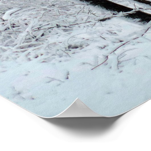 Snowy White Poplar Forest Poster (Ecke)