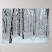 Snowy White Poplar Forest Poster (Vorne)