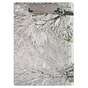Snowy Winter Forest Klemmbrett
