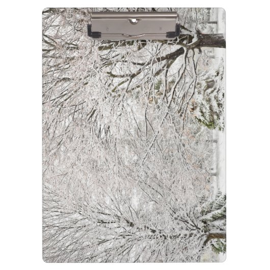 Snowy Winter Forest Klemmbrett (Vorderseite)