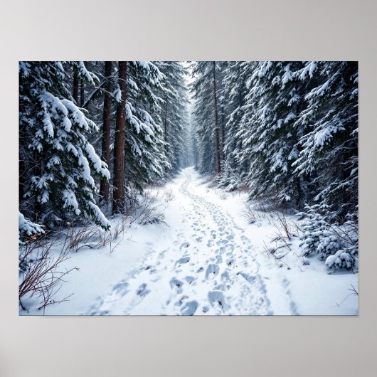 Snowy Winter Forest Path With Footprints Hiking Poster (Vorne)