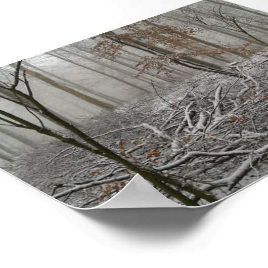 Snowy Winter Forest Poster (Ecke)