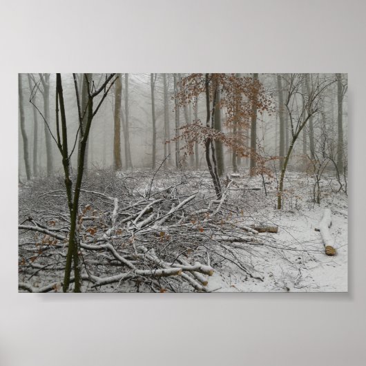 Snowy Winter Forest Poster (Vorne)
