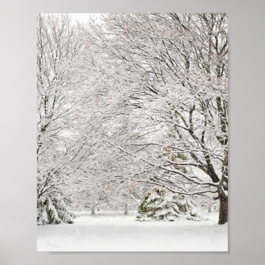 Snowy Winter Forest Poster (Vorne)