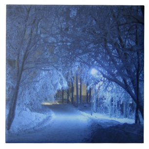 Snowy Winter Night Fliese