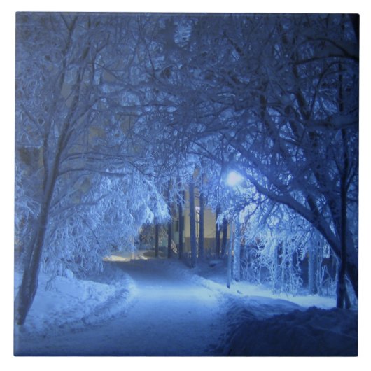 Snowy Winter Night Fliese (Vorderseite)