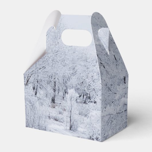 Snowy Winter Scene Geschenkschachtel (Vorderseite)