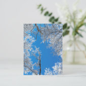 Snowy Winter Scene Postkarte (Stehend Vorderseite)