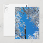 Snowy Winter Scene Postkarte (Vorne/Hinten)