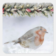 Snowy Winter Snowfinch Weihnachten