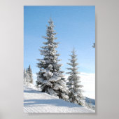Snowy Winter Szene mit Weihnachtsbäumen Poster (Vorne)