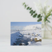 Snowy Winterland Postkarte (Stehend Vorderseite)