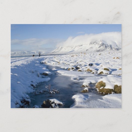 Snowy Winterland Postkarte (Vorderseite)