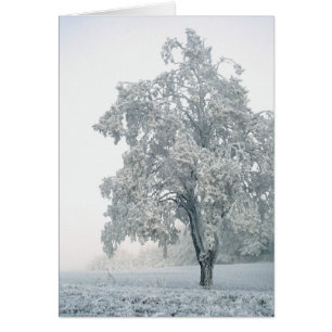 Snowy-Winterlandschaft