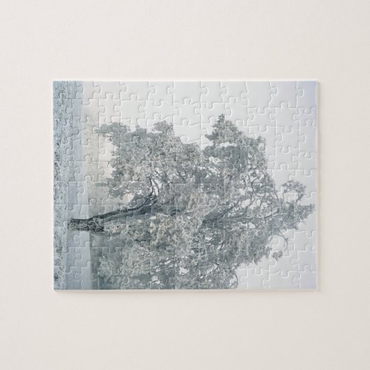 Snowy-Winterlandschaft Puzzle (Horizontal)