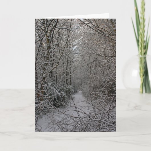 Snowy Woods Feiertagskarte (Vorderseite)