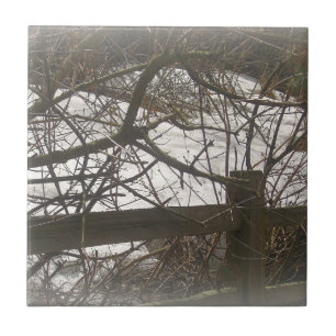 Snowy Woods Fliese