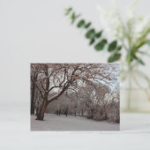 Snowy Woods Foto Postkarte (Stehend Vorderseite)