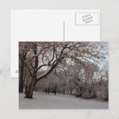Snowy Woods Foto Postkarte (Vorne/Hinten)