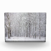 Snowy Woods Fotoblock (Vorderseite)