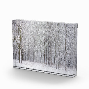 Snowy Woods Fotoblock