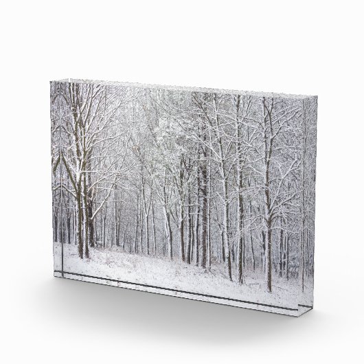 Snowy Woods Fotoblock (Rechts)
