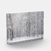 Snowy Woods Fotoblock (Links)