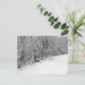 Snowy Woods Postcard Postkarte (Stehend Vorderseite)