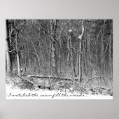 Snowy Woods Poster (Vorne)
