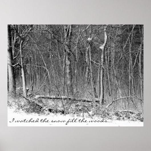 Snowy Woods Poster (Vorne)