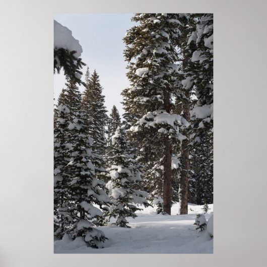 Snowy Woods Poster (Vorne)