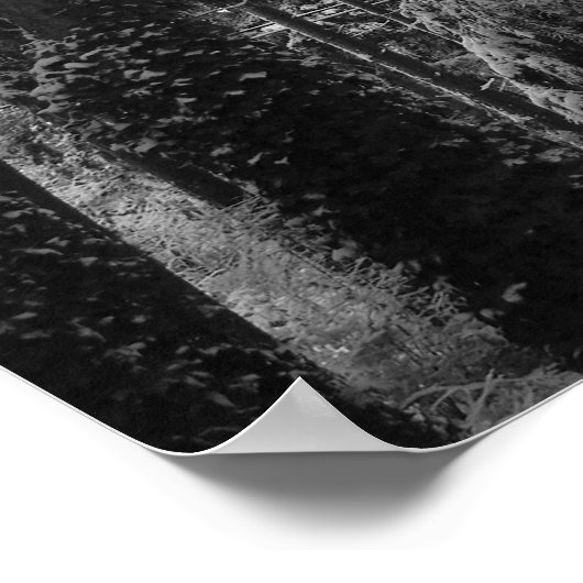 Snowy Woods Poster (Ecke)