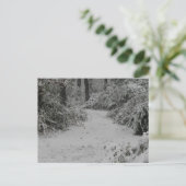 Snowy Woods Postkarte (Stehend Vorderseite)