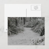 Snowy Woods Postkarte (Vorne/Hinten)