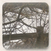 Snowy Woods Untersetzer (Vorderseite)