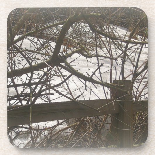 Snowy Woods Untersetzer (Vorderseite)