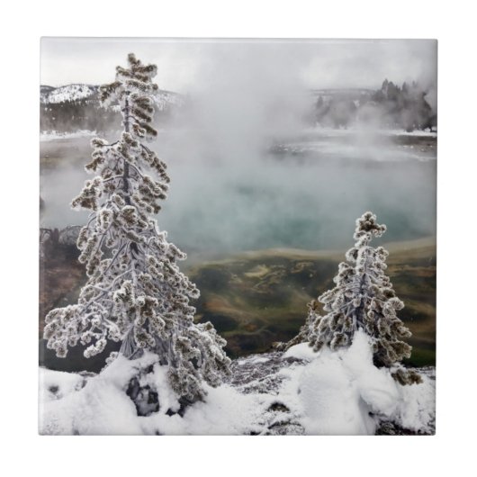Snowy Yellowstone Fliese (Vorderseite)
